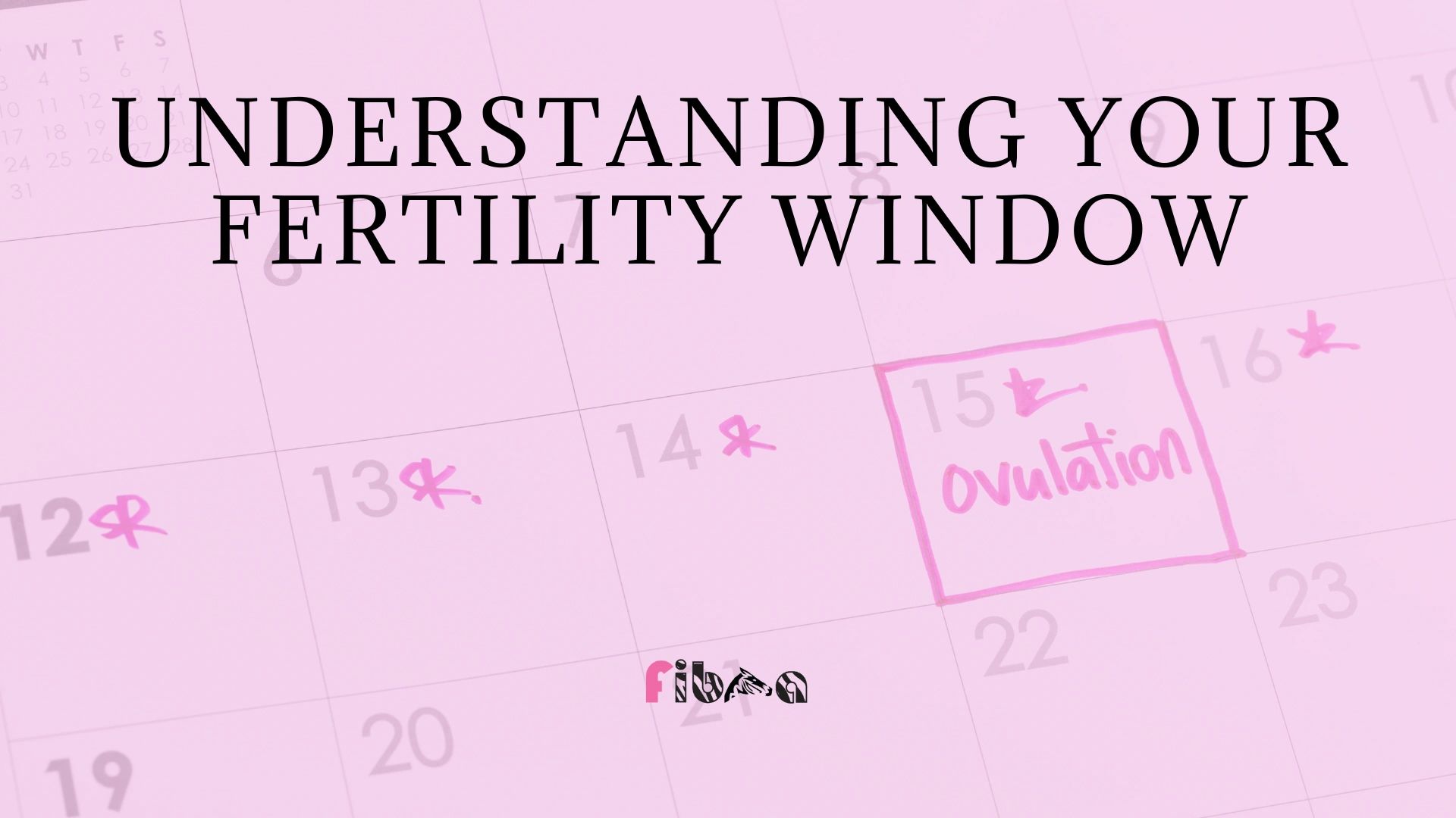 Understanding Your Fertility Window